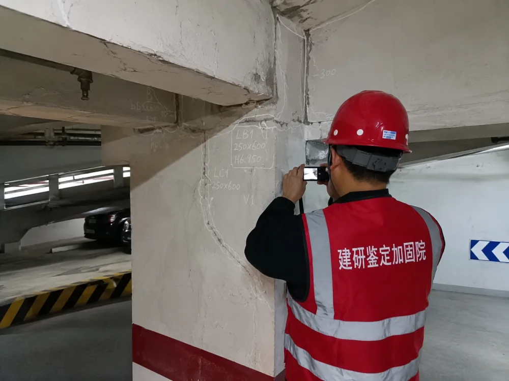 主体结构检测机构与房屋安全鉴定有什么区别