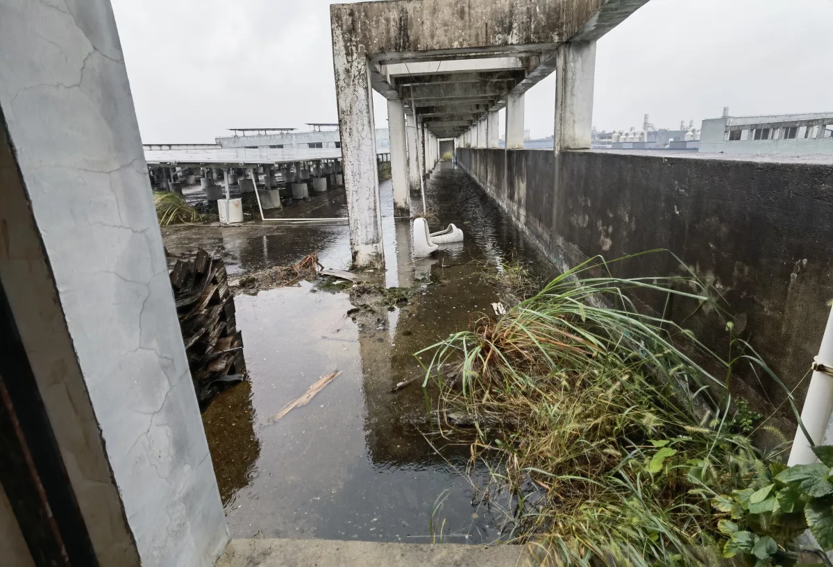 吉水县某消防站改造项目房屋安全性鉴定案例屋面积水现场